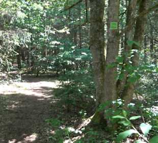 Premiumwanderweg Hochgehschätzt