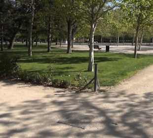 Retiro-Park