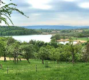 Wandern Radolfzell am Bodensee