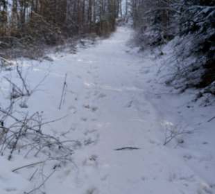 Wandern Wirsberg