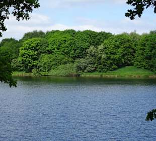 Impressionen vom Rundgang um den Tweelbäker See