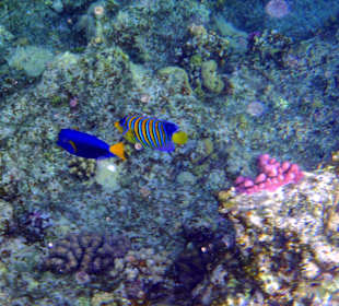 Hotel Kahramana Beach Resort