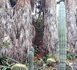 Botanischer Garten Viveiro