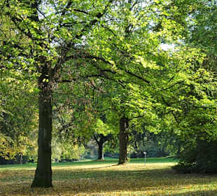Impressionen vom Rundgang durch den Bürgerpark