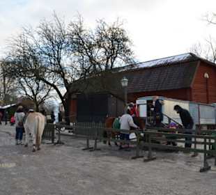 Freilichtmuseum Skansen