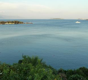 Tolle Aussicht