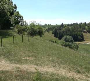 Burg Kräheneck Reusten