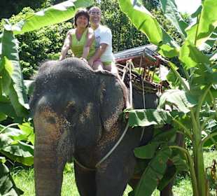 Прогулка на слоных.