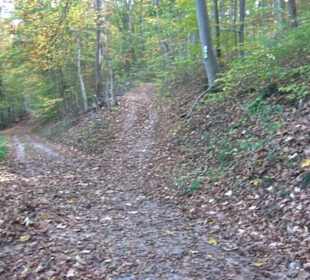 Premiumwanderweg hochgehkeltert