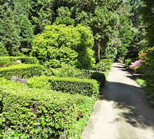 Rundgang über den Friedhof Nienstedten