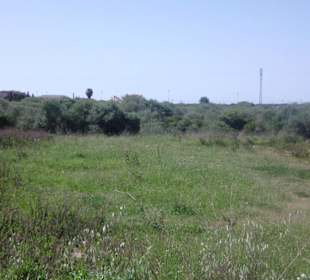 Ausflug in die nähere Umgebung mit dem Auto