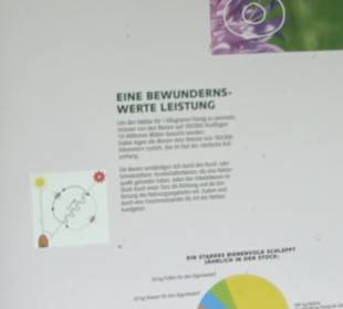 Naturinfopfad Weggental