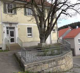 Vulkankrater-Rundweg Apfelstetten