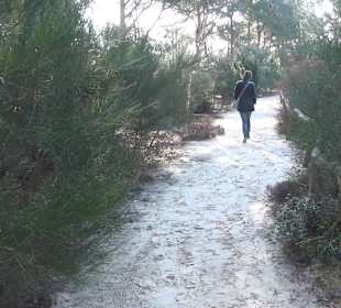 Botanischer Garten - Rombergpark