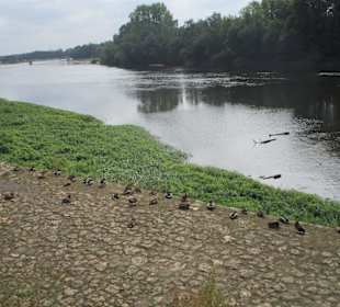  Uferpromenade Quai Jeanne d'Arc