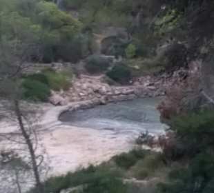 Strand Cala Mondrago