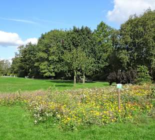 Eindrücke aus dem Kurpark Bad Bederkesa