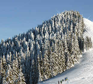 Wandern Bad Kohlgrub