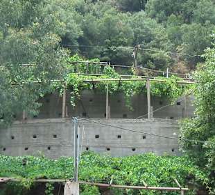 Sarakinas Canyon Kreta Südküste bei Mirtos