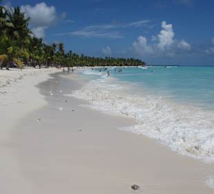 Auf der Bounty Insel