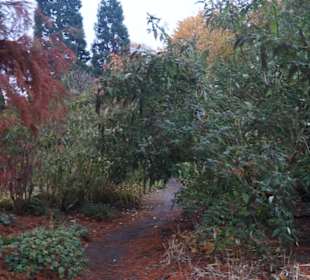 Parkanlage Planten un Blomen