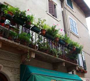 Balkonschmuck mit Liebe