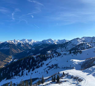 Wandern Donnersbachwald