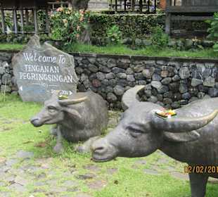 Eingang Bali Aga-Dorf Tenganan