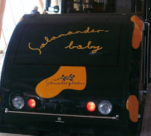 Salamander-Baby