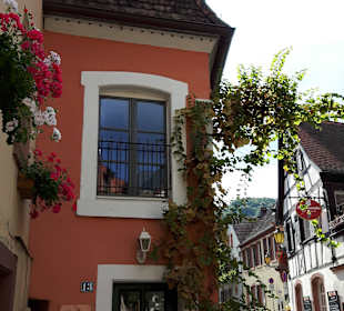 Altstadt St. Martin