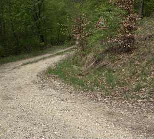 Wandertour durchs Reissenbachtal Oberhausen