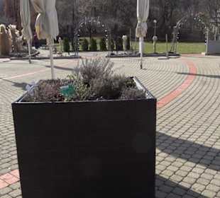 Café Barbara im Hotel Graf Eberhard