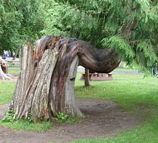 Shannon Falls Park  bei Squamish
