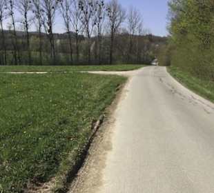 Grillstelle am Markwasen 