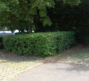 Neuer Friedhof Gülstein