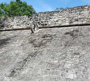 Cobá