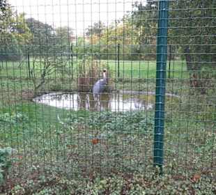 Tierpark