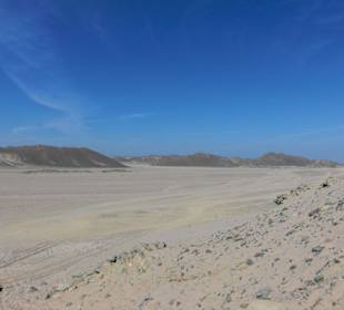 Ausflug in die Wüste
