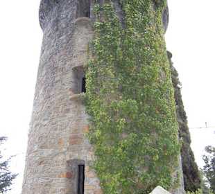 Torre