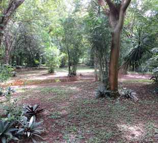 Ein Spaziergang auf dem Ruinen Gelände