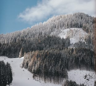 Skigebiet Saalbach