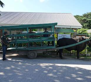 Beförderungsmittel auf La Digue