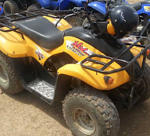 Nicht die Besten, machen aber Spaß