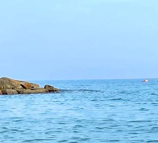 Strand Pietra Ligure