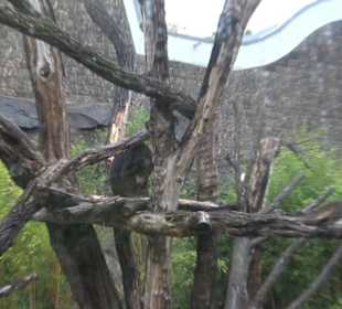 Tierpark 