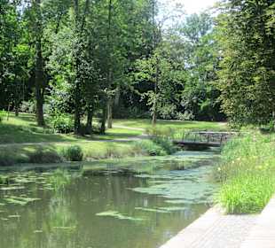 Schwanenweiher