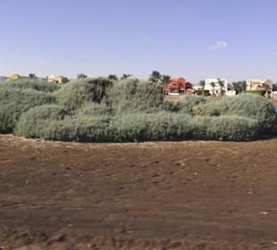 Stadtrundgang El Gouna