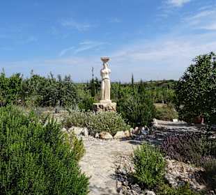 Hippocrates Garden