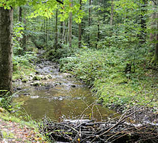 Wanderung bei Inzell