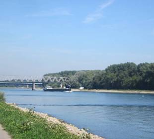 Am Rhein bei Germersheim